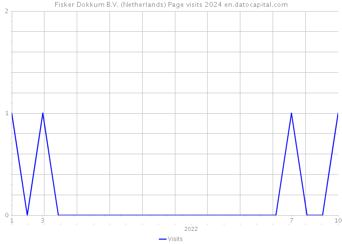 Fisker Dokkum B.V. (Netherlands) Page visits 2024 