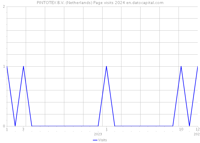 PINTOTEX B.V. (Netherlands) Page visits 2024 