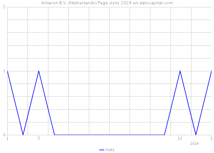 Amaron B.V. (Netherlands) Page visits 2024 