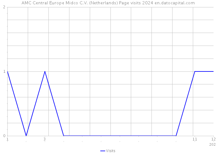 AMC Central Europe Midco C.V. (Netherlands) Page visits 2024 