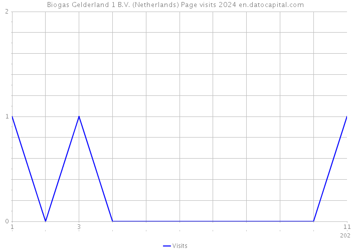 Biogas Gelderland 1 B.V. (Netherlands) Page visits 2024 