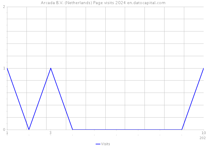 Arcada B.V. (Netherlands) Page visits 2024 