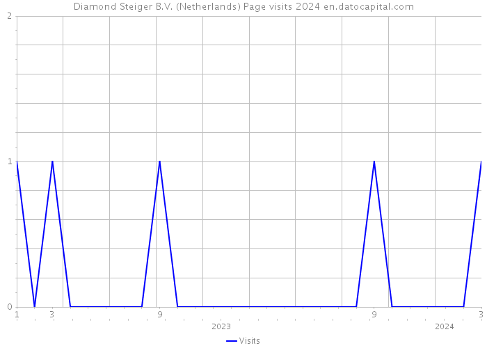 Diamond Steiger B.V. (Netherlands) Page visits 2024 
