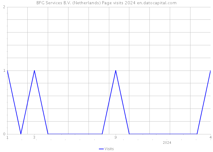 BFG Services B.V. (Netherlands) Page visits 2024 