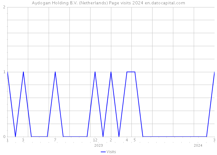 Aydogan Holding B.V. (Netherlands) Page visits 2024 