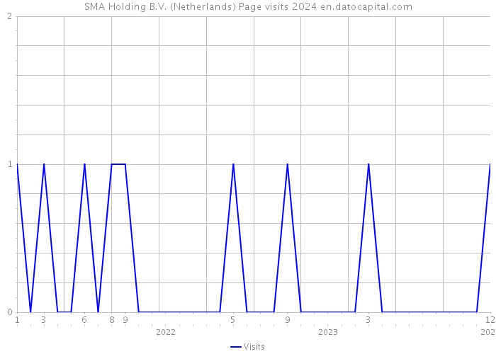 SMA Holding B.V. (Netherlands) Page visits 2024 