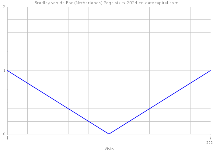 Bradley van de Bor (Netherlands) Page visits 2024 