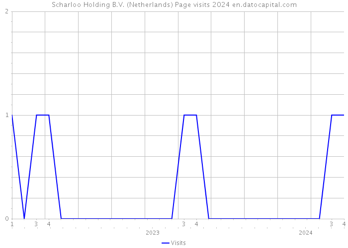 Scharloo Holding B.V. (Netherlands) Page visits 2024 