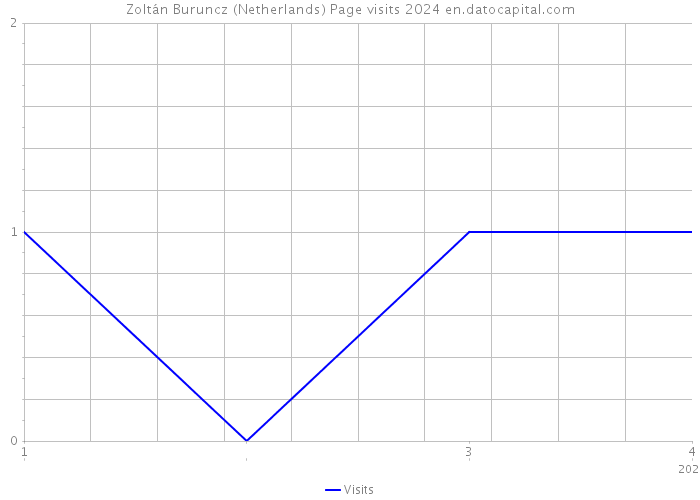 Zoltán Buruncz (Netherlands) Page visits 2024 
