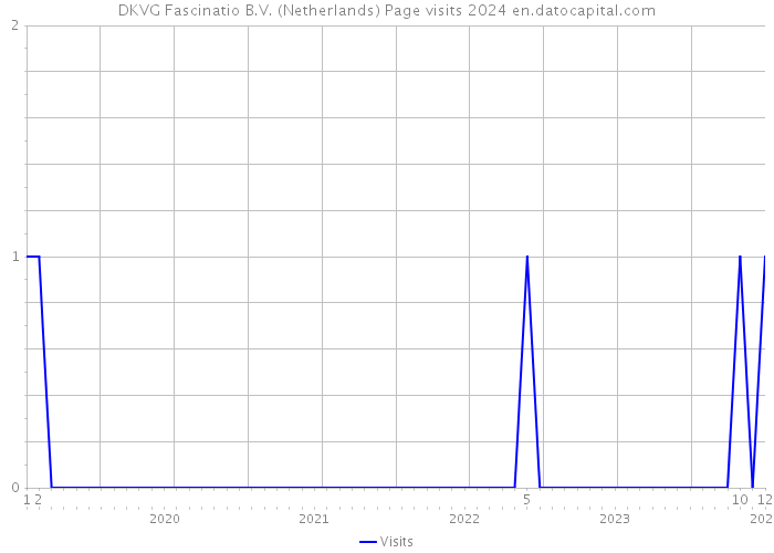 DKVG Fascinatio B.V. (Netherlands) Page visits 2024 