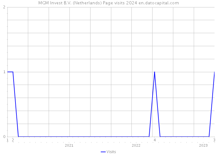 MGM Invest B.V. (Netherlands) Page visits 2024 
