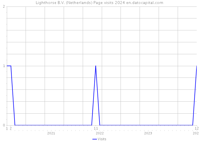 Lighthorse B.V. (Netherlands) Page visits 2024 