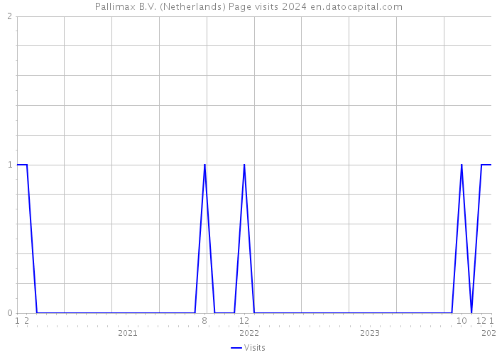 Pallimax B.V. (Netherlands) Page visits 2024 