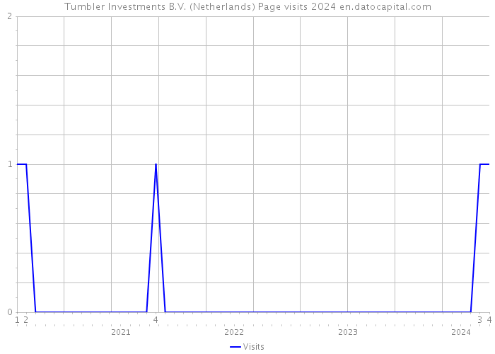 Tumbler Investments B.V. (Netherlands) Page visits 2024 