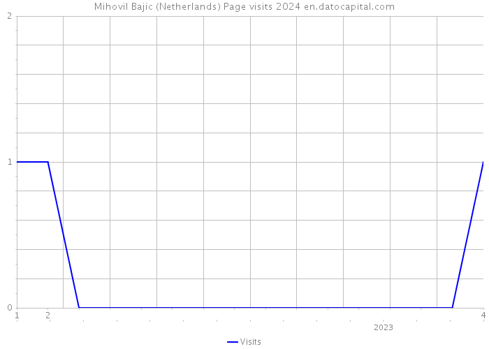 Mihovil Bajic (Netherlands) Page visits 2024 