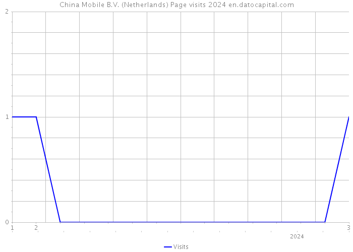 China Mobile B.V. (Netherlands) Page visits 2024 