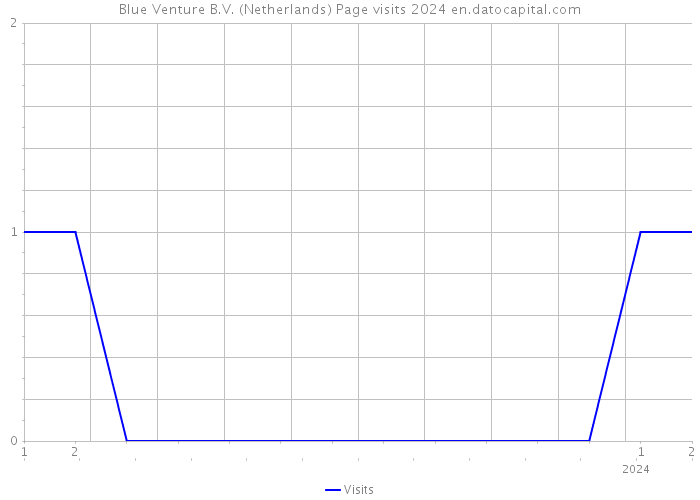 Blue Venture B.V. (Netherlands) Page visits 2024 