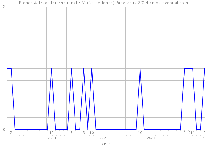Brands & Trade International B.V. (Netherlands) Page visits 2024 