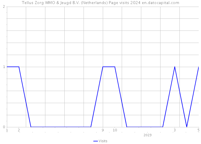 Tellus Zorg WMO & Jeugd B.V. (Netherlands) Page visits 2024 