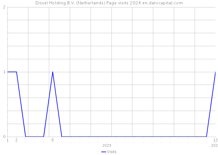 Dissel Holding B.V. (Netherlands) Page visits 2024 