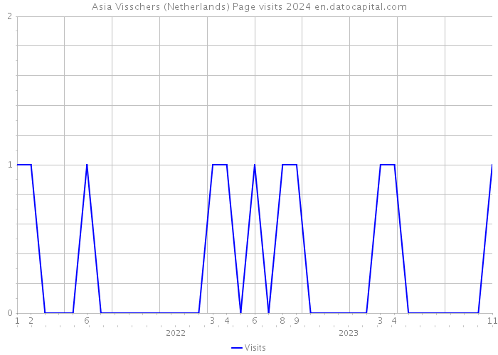 Asia Visschers (Netherlands) Page visits 2024 