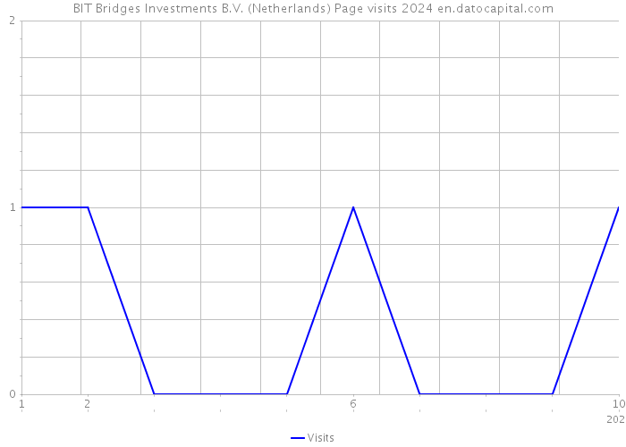 BIT Bridges Investments B.V. (Netherlands) Page visits 2024 