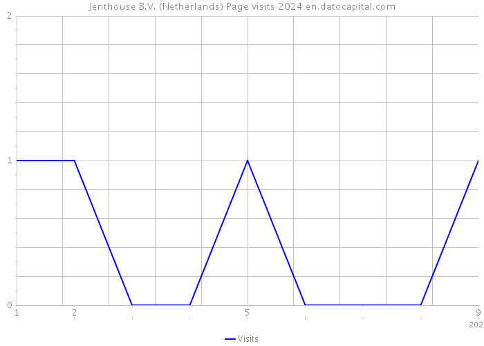 Jenthouse B.V. (Netherlands) Page visits 2024 