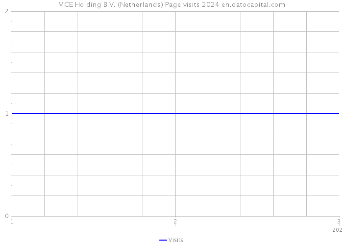 MCE Holding B.V. (Netherlands) Page visits 2024 