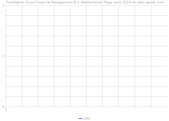 TechNative Cloud Financial Management B.V. (Netherlands) Page visits 2024 
