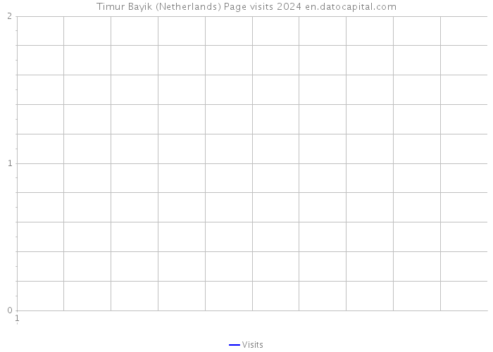 Timur Bayik (Netherlands) Page visits 2024 