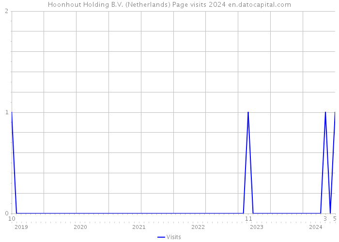 Hoonhout Holding B.V. (Netherlands) Page visits 2024 