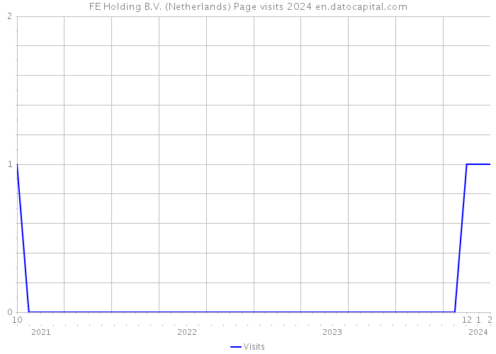 FE Holding B.V. (Netherlands) Page visits 2024 