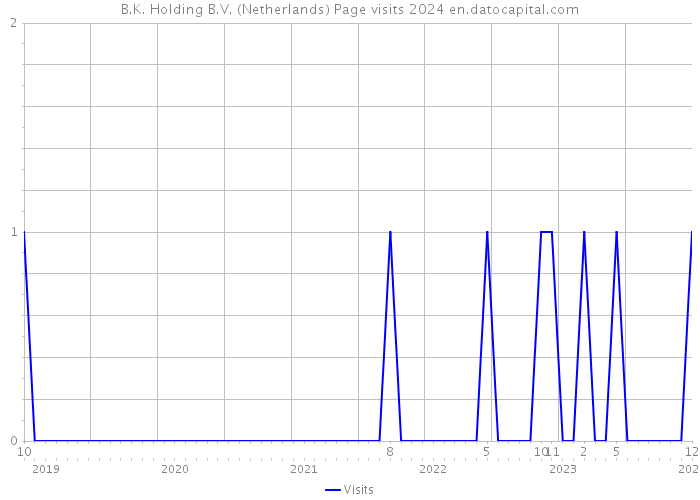 B.K. Holding B.V. (Netherlands) Page visits 2024 