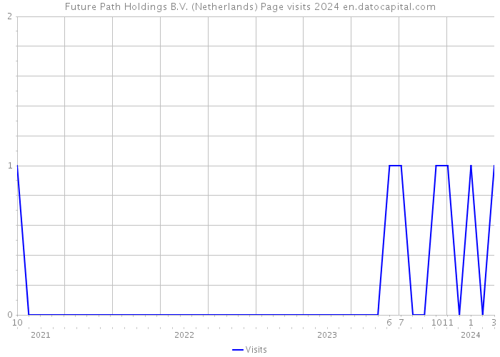 Future Path Holdings B.V. (Netherlands) Page visits 2024 