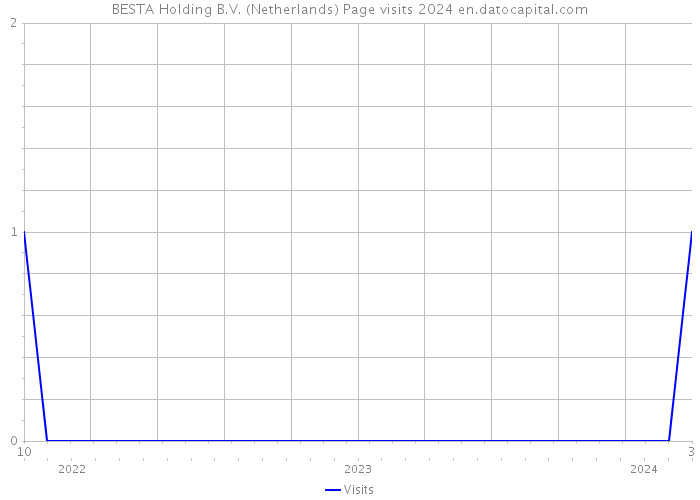 BESTA Holding B.V. (Netherlands) Page visits 2024 