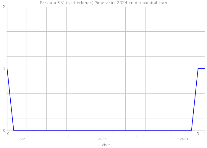 Persona B.V. (Netherlands) Page visits 2024 