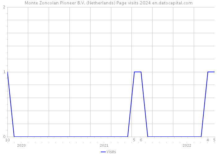 Monte Zoncolan Pioneer B.V. (Netherlands) Page visits 2024 