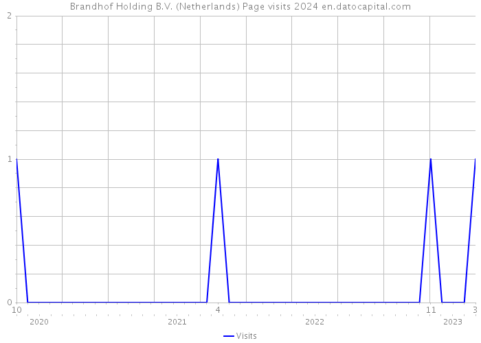 Brandhof Holding B.V. (Netherlands) Page visits 2024 