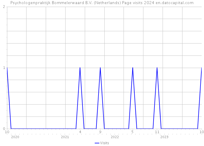 Psychologenpraktijk Bommelerwaard B.V. (Netherlands) Page visits 2024 