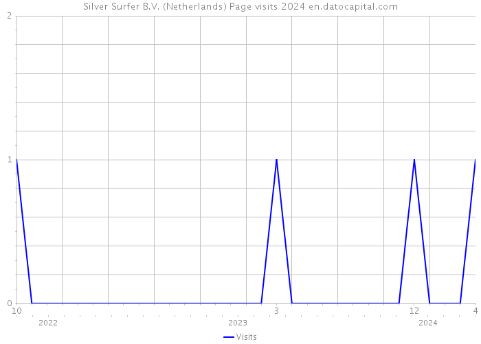 Silver Surfer B.V. (Netherlands) Page visits 2024 