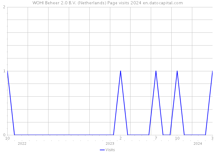 WOHI Beheer 2.0 B.V. (Netherlands) Page visits 2024 
