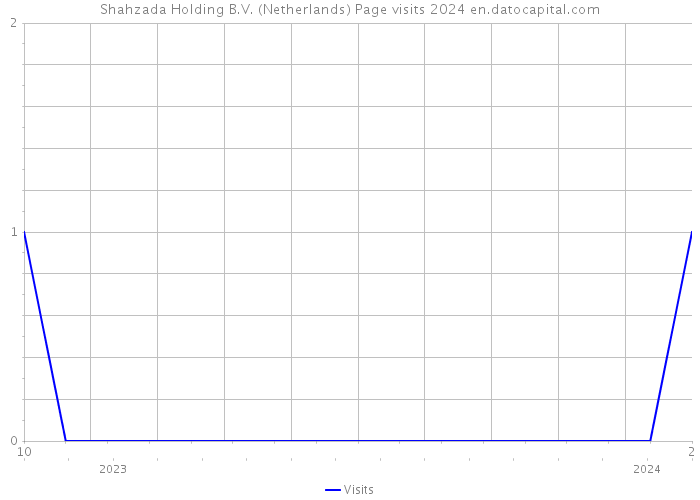 Shahzada Holding B.V. (Netherlands) Page visits 2024 