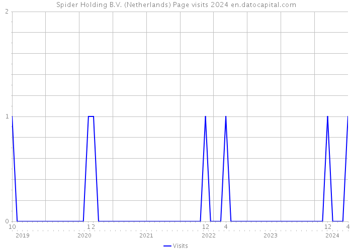Spider Holding B.V. (Netherlands) Page visits 2024 