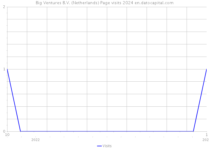 Big Ventures B.V. (Netherlands) Page visits 2024 