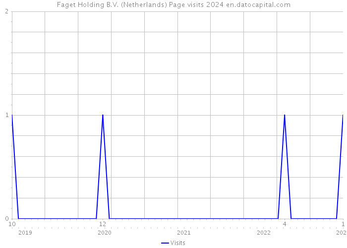 Faget Holding B.V. (Netherlands) Page visits 2024 