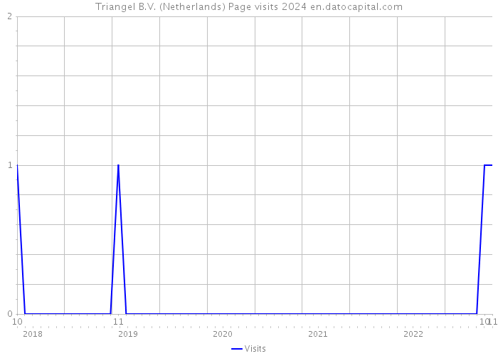 Triangel B.V. (Netherlands) Page visits 2024 