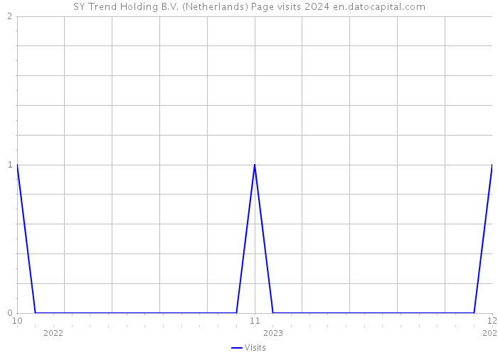 SY Trend Holding B.V. (Netherlands) Page visits 2024 