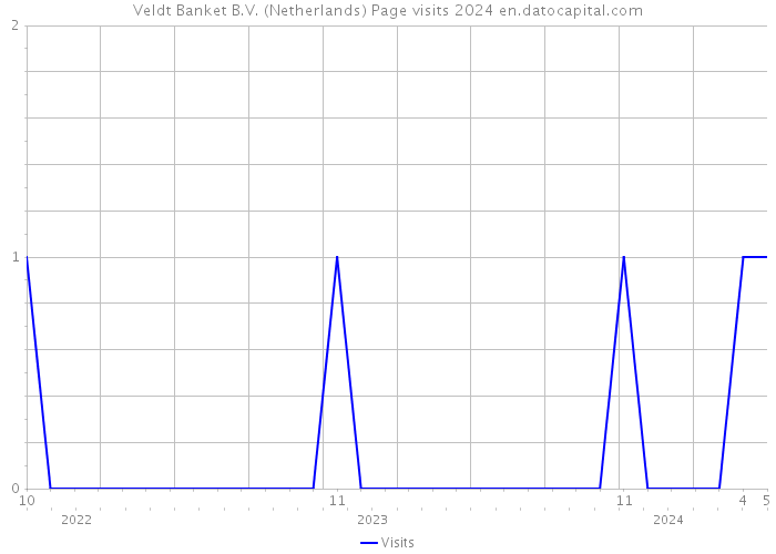 Veldt Banket B.V. (Netherlands) Page visits 2024 