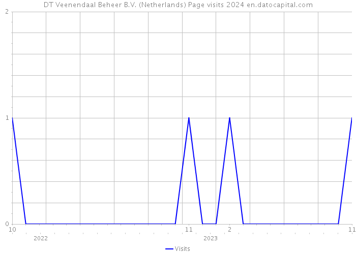 DT Veenendaal Beheer B.V. (Netherlands) Page visits 2024 