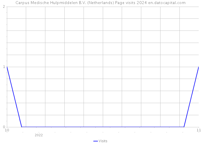 Carpus Medische Hulpmiddelen B.V. (Netherlands) Page visits 2024 